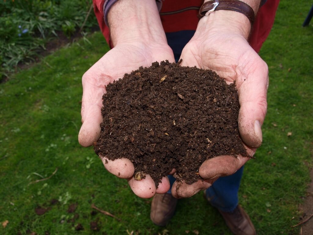 fresh, compost, hand, man, compost, compost, compost, compost, compost